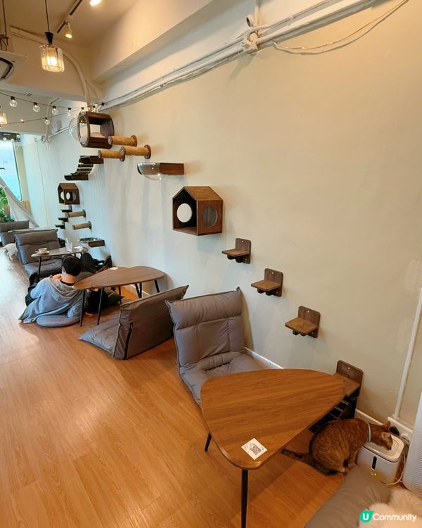 窩夫好高質❤️