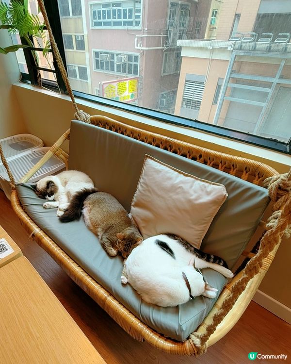 窩夫好高質❤️