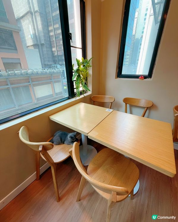 窩夫好高質❤️