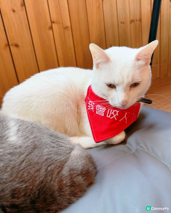 窩夫好高質❤️