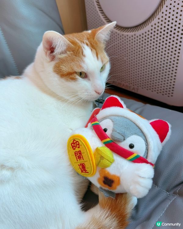 窩夫好高質❤️