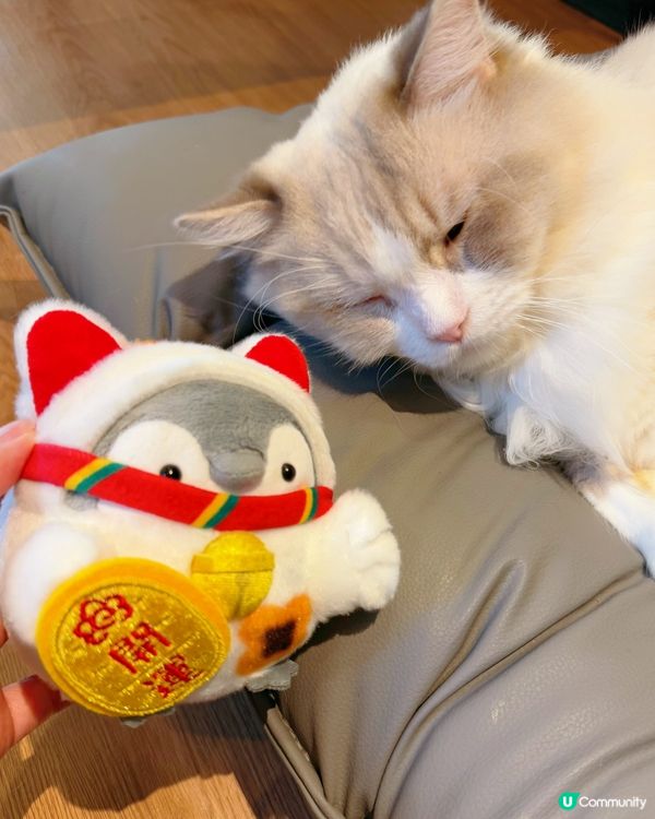 窩夫好高質❤️