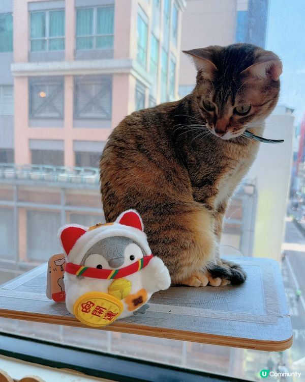 窩夫好高質❤️