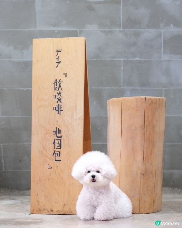 ## 執笠前最後一餐😭  
## 大圍分店最後倒數⏳