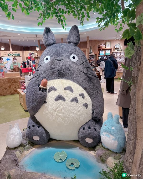 大板必去！龍貓專門店😍