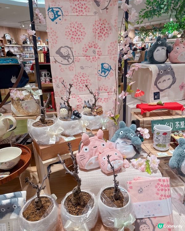 大板必去！龍貓專門店😍