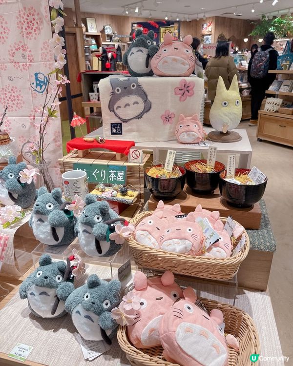 大板必去！龍貓專門店😍