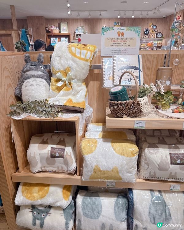 大板必去！龍貓專門店😍