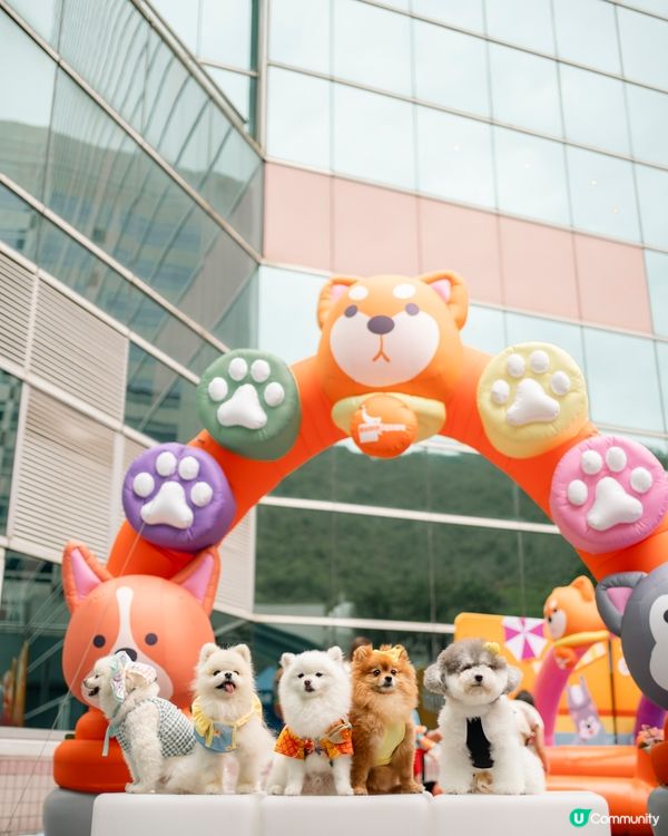 🐶💦 沙田寵物潑水節！帶寵物一齊買傢俬即享45折消費賞🛍️