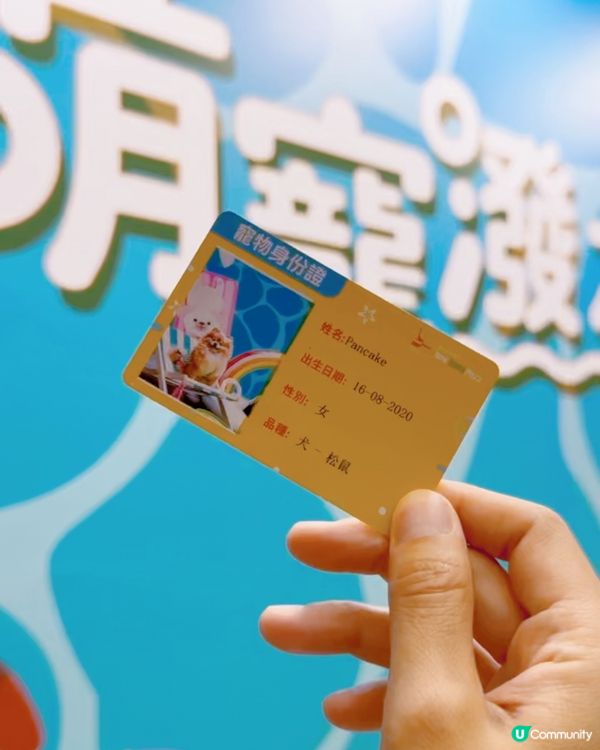 🐶💦 沙田寵物潑水節！帶寵物一齊買傢俬即享45折消費賞🛍️