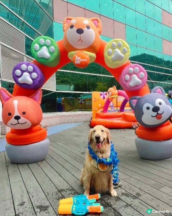 🐶💦 夏日玩水狂歡！  #萌寵潑水節