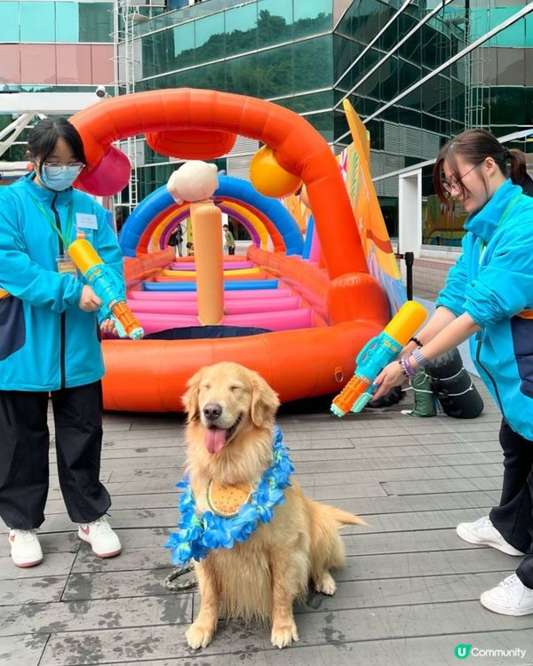 🐶💦 夏日玩水狂歡！  #萌寵潑水節