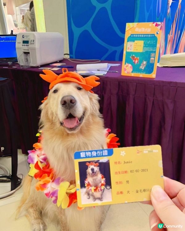 🐶💦 夏日玩水狂歡！  #萌寵潑水節