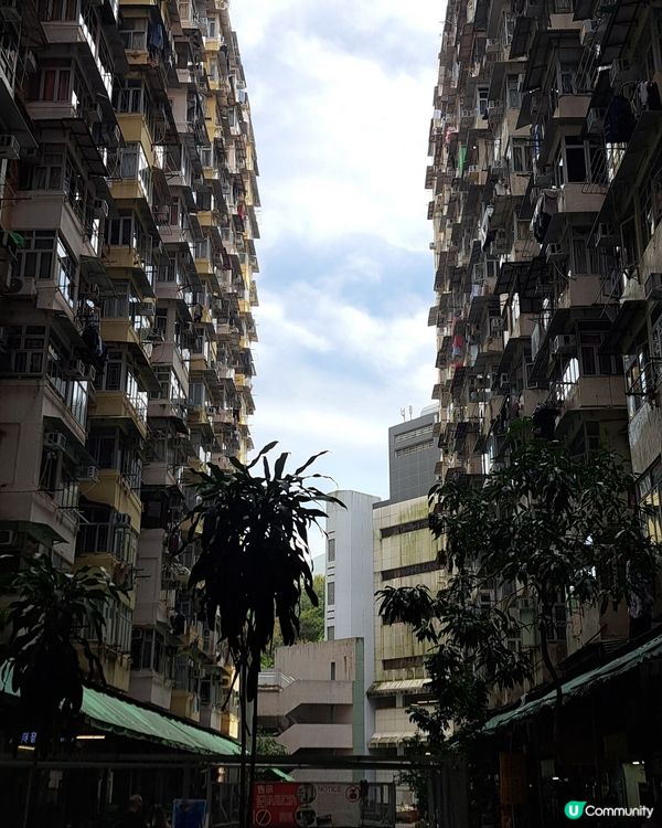 怪獸大廈已經人面全非