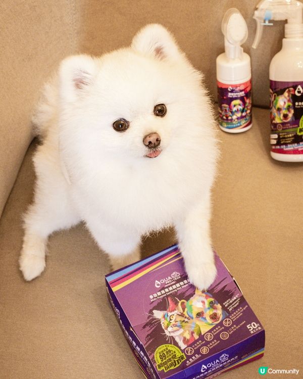 豬仔蛋為你介紹好物 AQUA PRO+TECH!