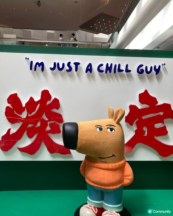 Chill guy 來了香城 淺淺歲月的日子