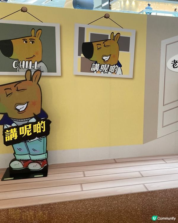 Chill guy 來了香城 淺淺歲月的日子