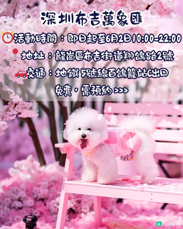 深圳布吉萬象匯櫻花主題打卡秘點🌸佔地1000平方米！4大打卡位‼️3間快閃店有售櫻花造型小食😍