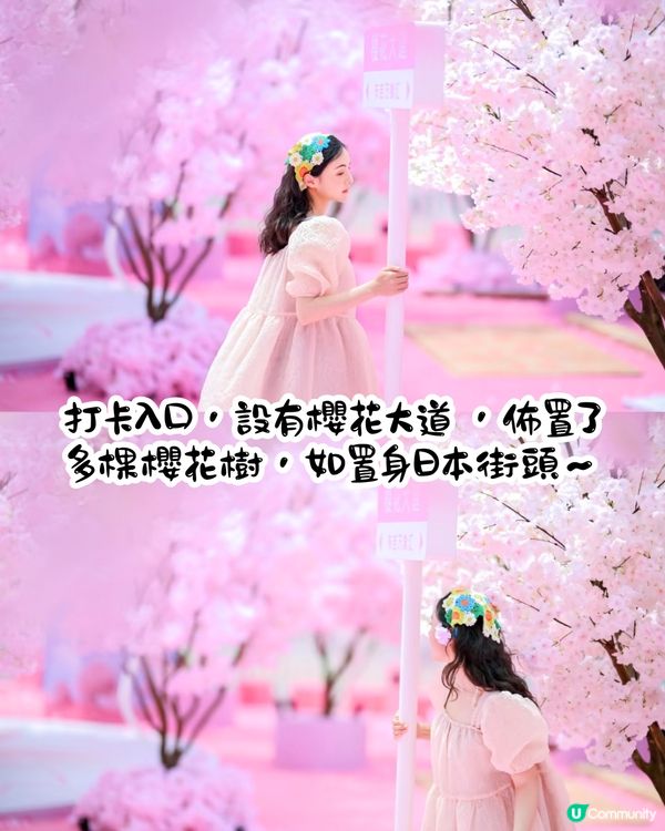 深圳布吉萬象匯櫻花主題打卡秘點🌸佔地1000平方米！4大打卡位‼️3間快閃店有售櫻花造型小食😍