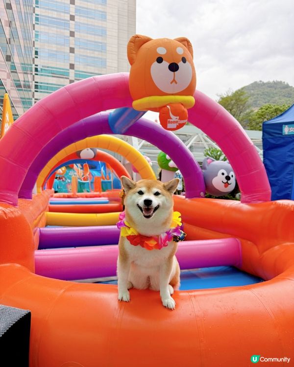 萌寵潑水節:HomeSquare🔫