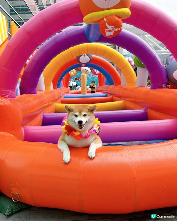 萌寵潑水節:HomeSquare🔫