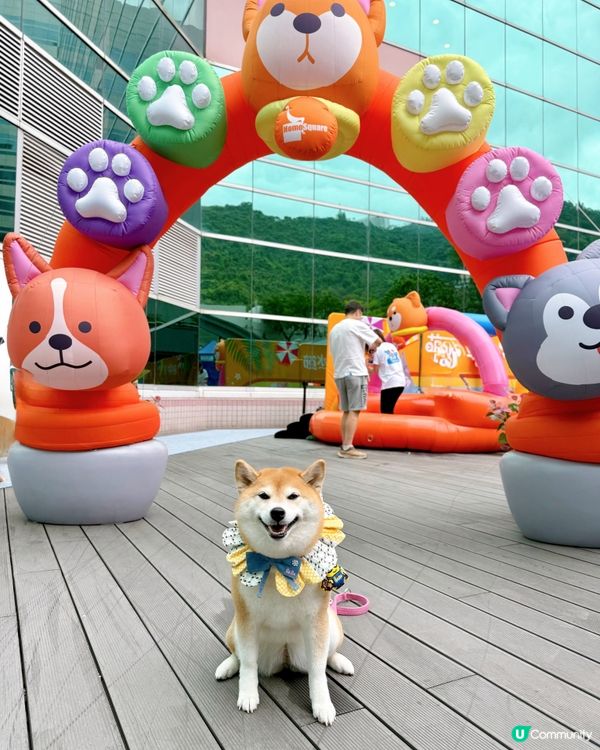 萌寵潑水節:HomeSquare🔫