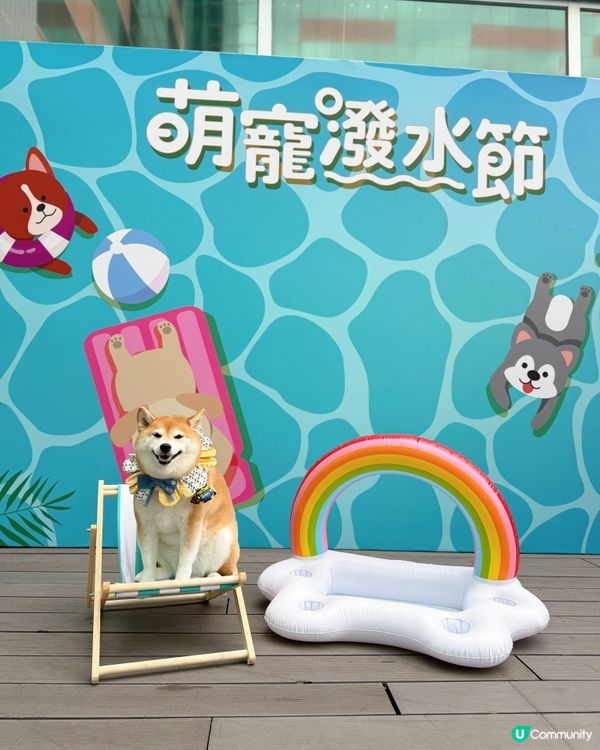 萌寵潑水節:HomeSquare🔫