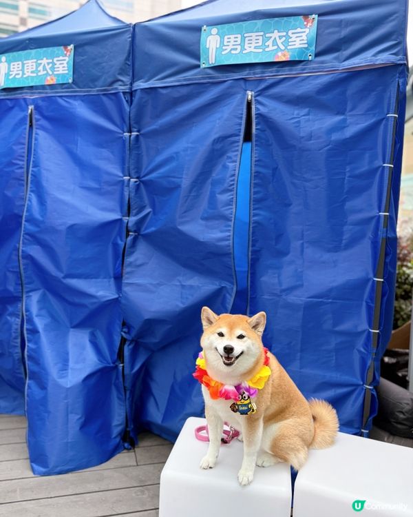 萌寵潑水節:HomeSquare🔫