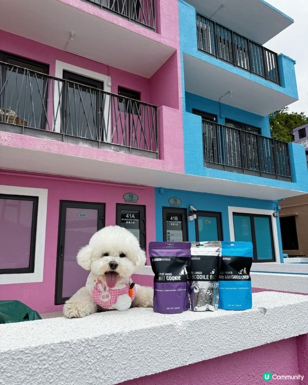 狗狗🍠零食信心之選~