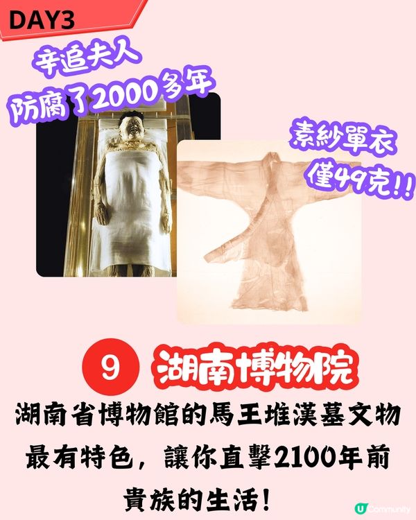 🌟【長沙三日兩夜快閃攻略】打卡茶顏悅色/長沙臭豆腐/橘子洲頭