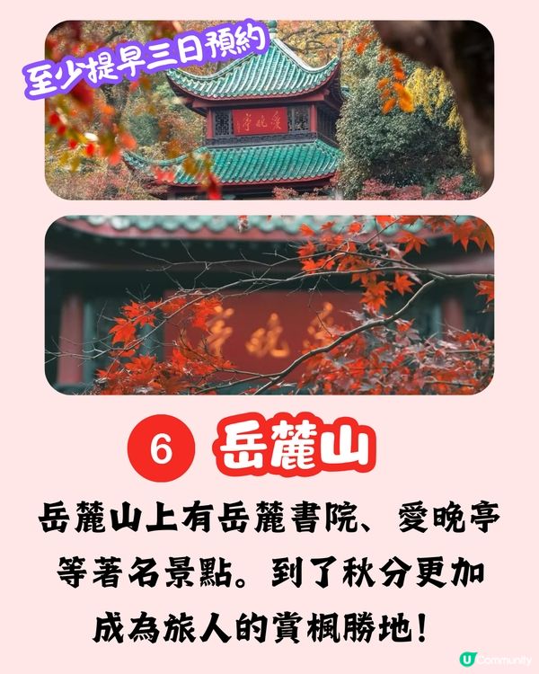 🌟【長沙三日兩夜快閃攻略】打卡茶顏悅色/長沙臭豆腐/橘子洲頭