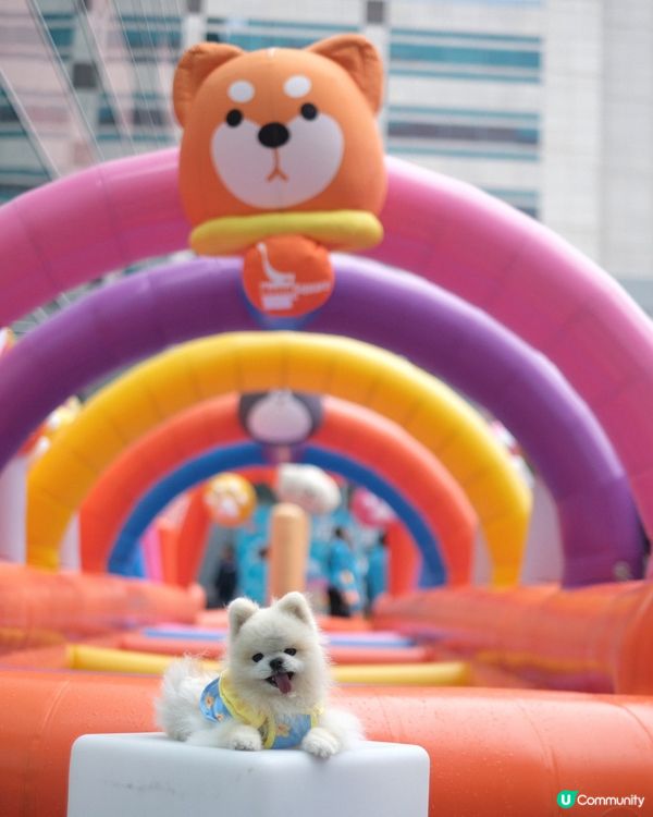 估唔到香港有寵物潑水節💦好興奮呀😀