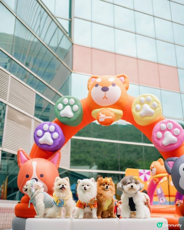 估唔到香港有寵物潑水節💦好興奮呀😀