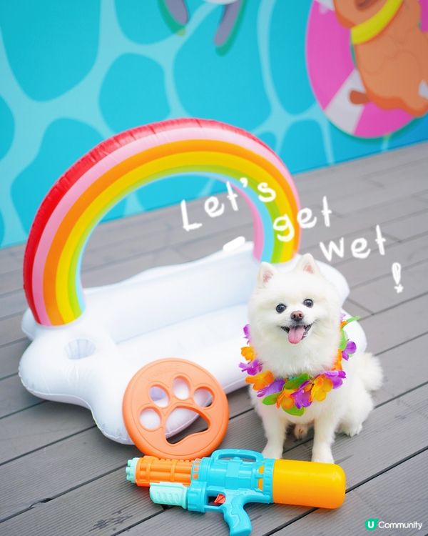 全港首個萌寵潑水節🔫💦