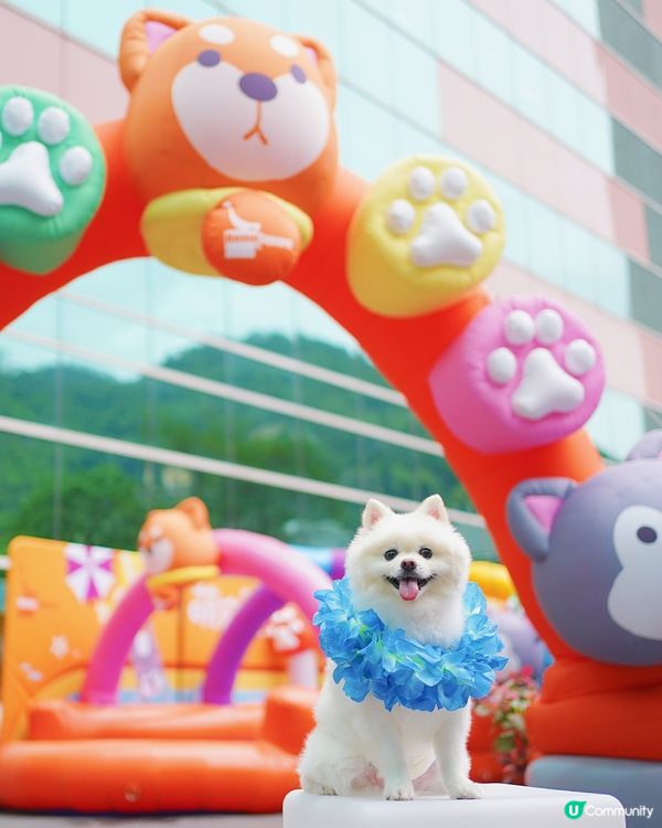 全港首個萌寵潑水節🔫💦