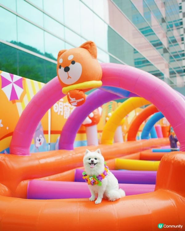全港首個萌寵潑水節🔫💦