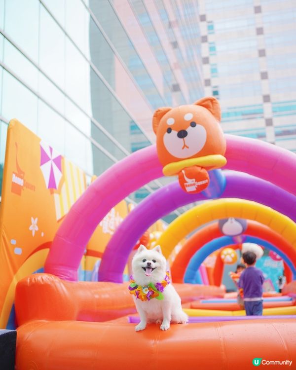 全港首個萌寵潑水節🔫💦