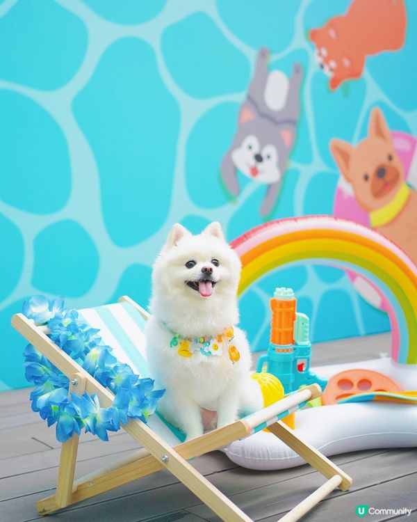 全港首個萌寵潑水節🔫💦