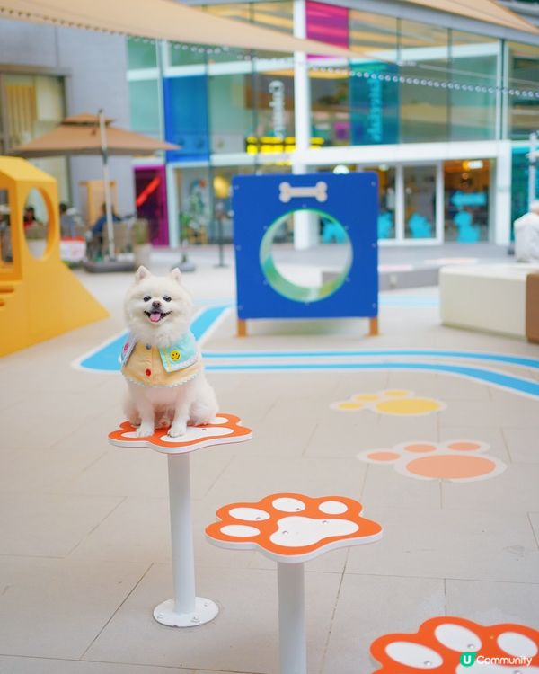 全港首個萌寵潑水節🔫💦