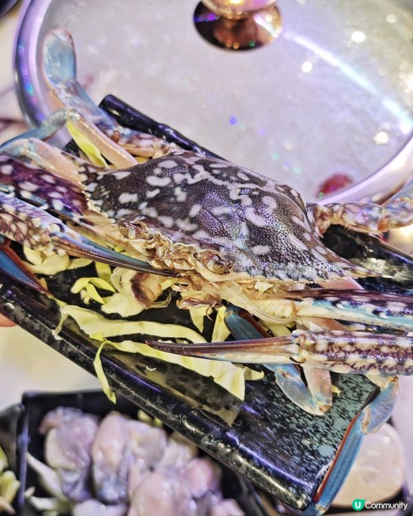 豐富🦞海鮮🦀火鍋🍲放題