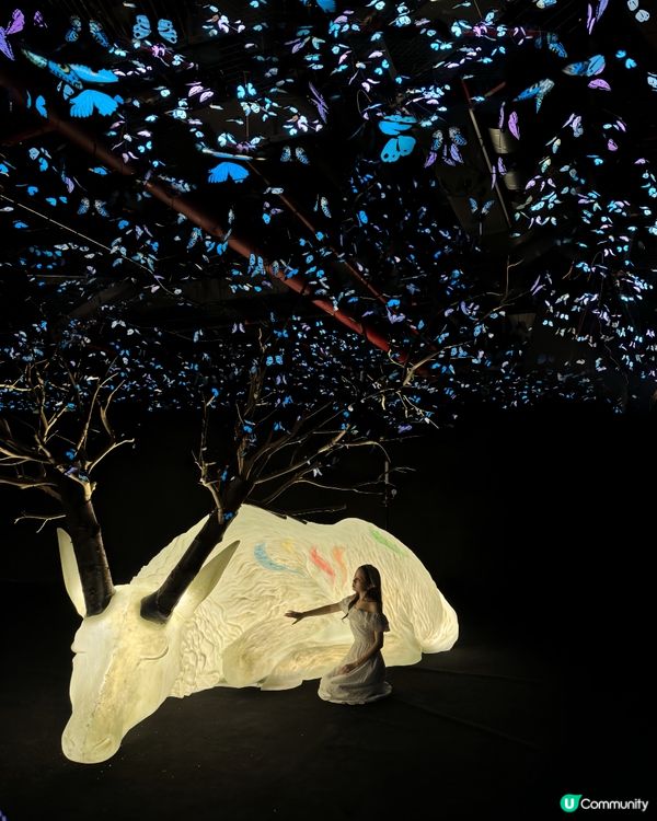 深圳免費新藝術展· 🦋蝶光星河
