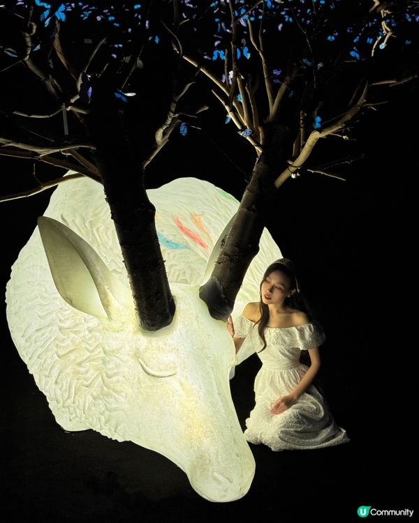 深圳免費新藝術展· 🦋蝶光星河