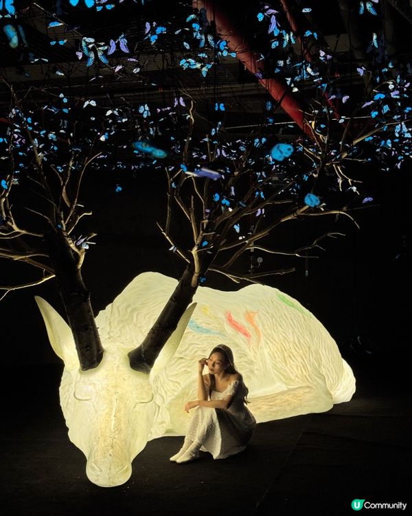 深圳免費新藝術展· 🦋蝶光星河