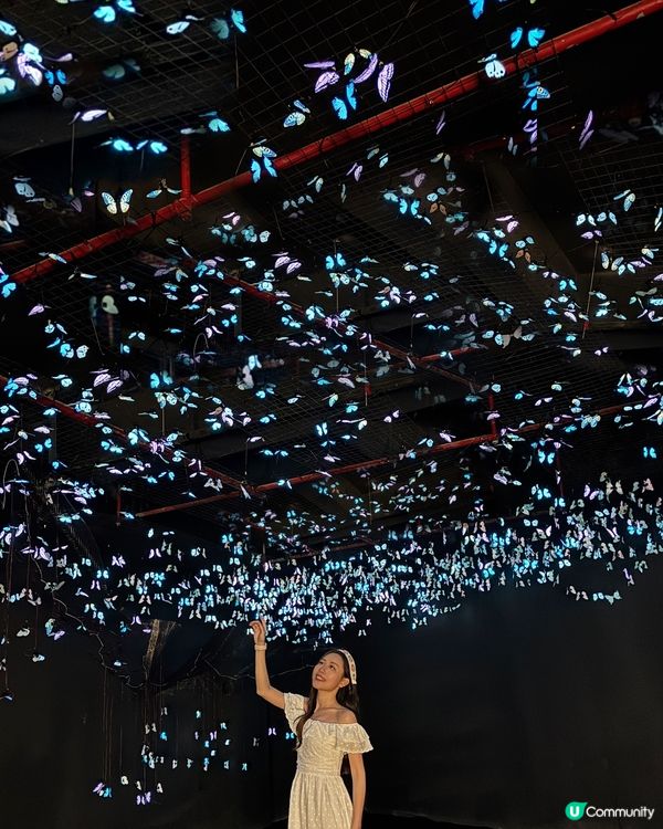 深圳免費新藝術展· 🦋蝶光星河