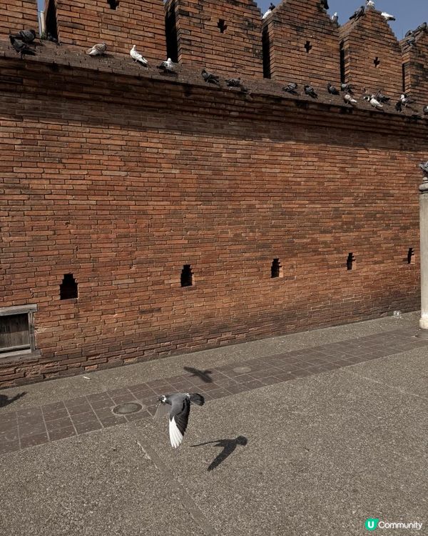 清邁必去打卡景點 - 塔佩門 