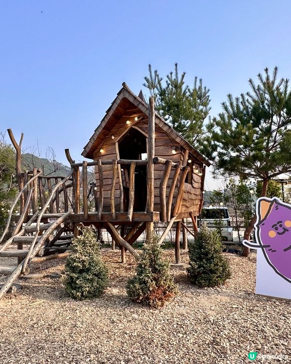 🇰🇷韓國春川必打卡「超可愛煙煙韌韌薯仔包」 