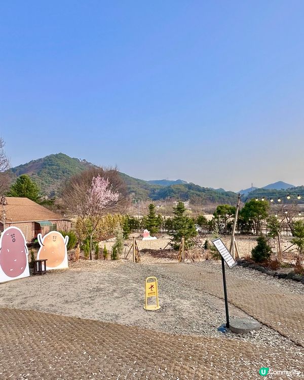 🇰🇷韓國春川必打卡「超可愛煙煙韌韌薯仔包」 