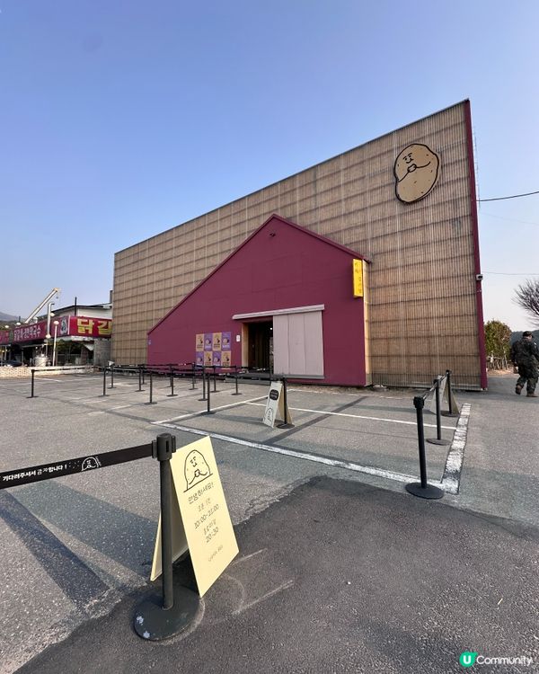 🇰🇷韓國春川必打卡「超可愛煙煙韌韌薯仔包」 