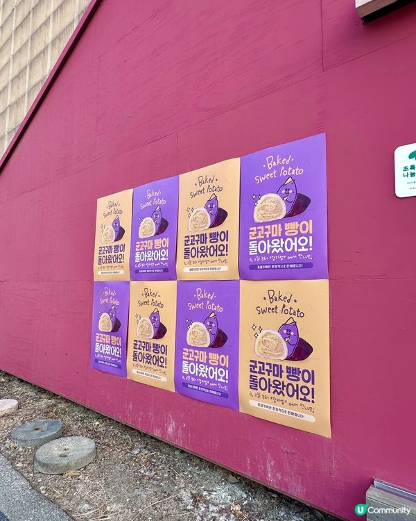 🇰🇷韓國春川必打卡「超可愛煙煙韌韌薯仔包」 