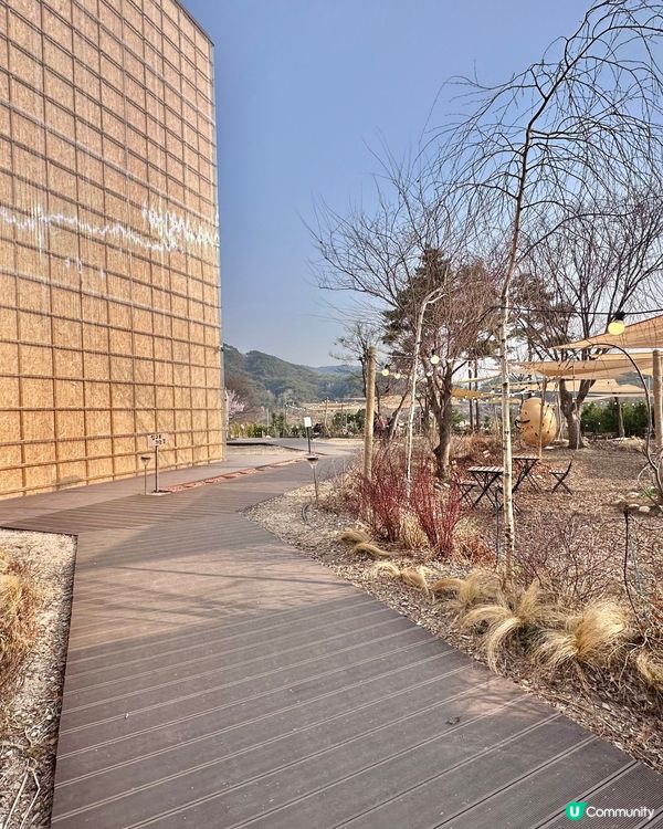 🇰🇷韓國春川必打卡「超可愛煙煙韌韌薯仔包」 